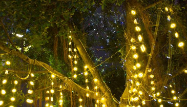 1134505722.png 1134505722.png